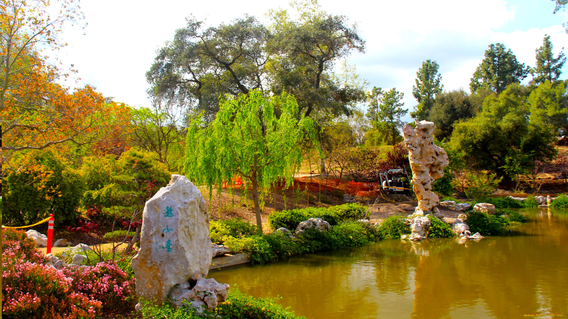 botanical, garden, san, marino, california, природа, парк, растения, водоем, деревья, цветы