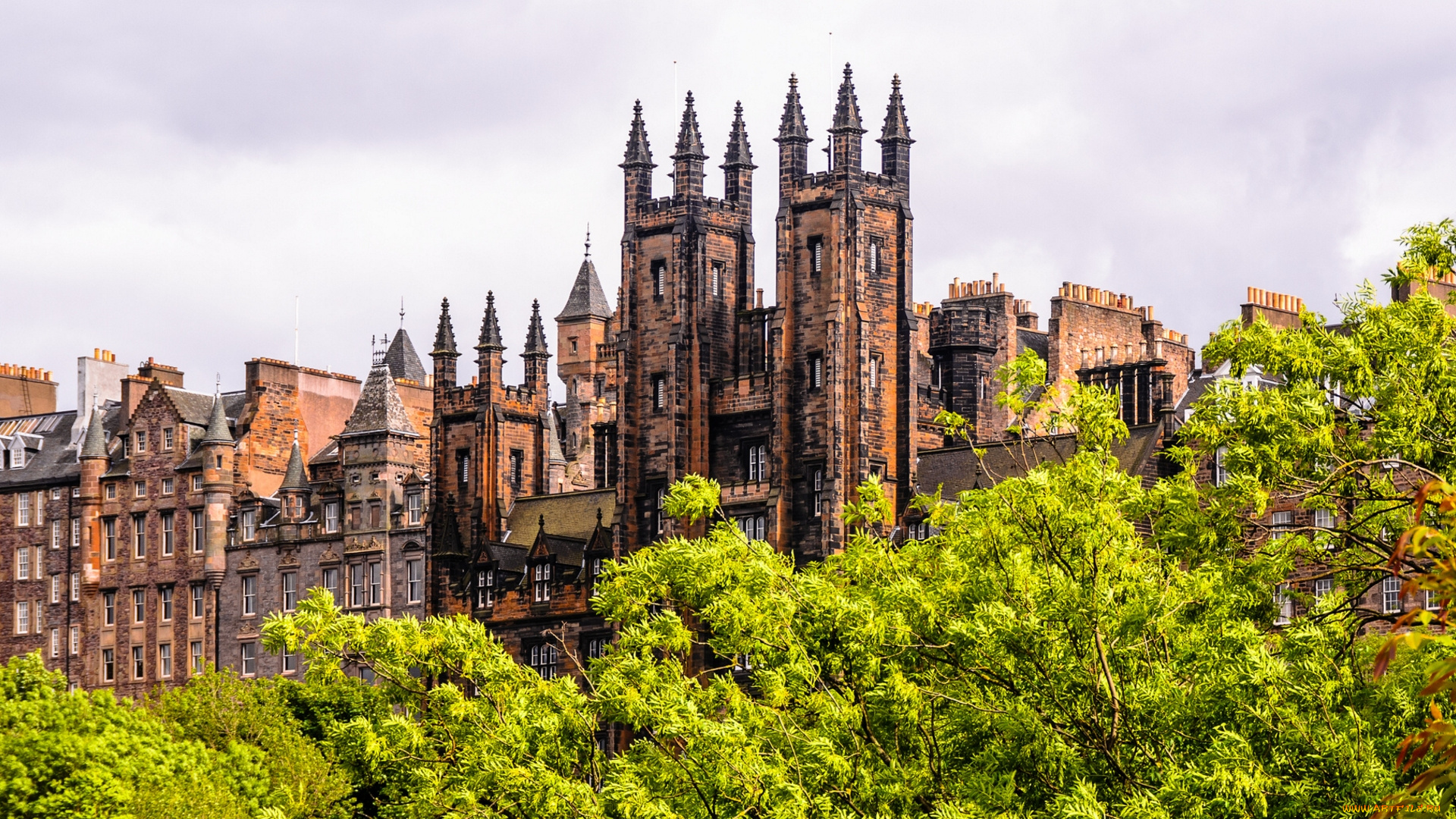 edinburgh, scotland, города, эдинбург, шотландия, деревья, здание