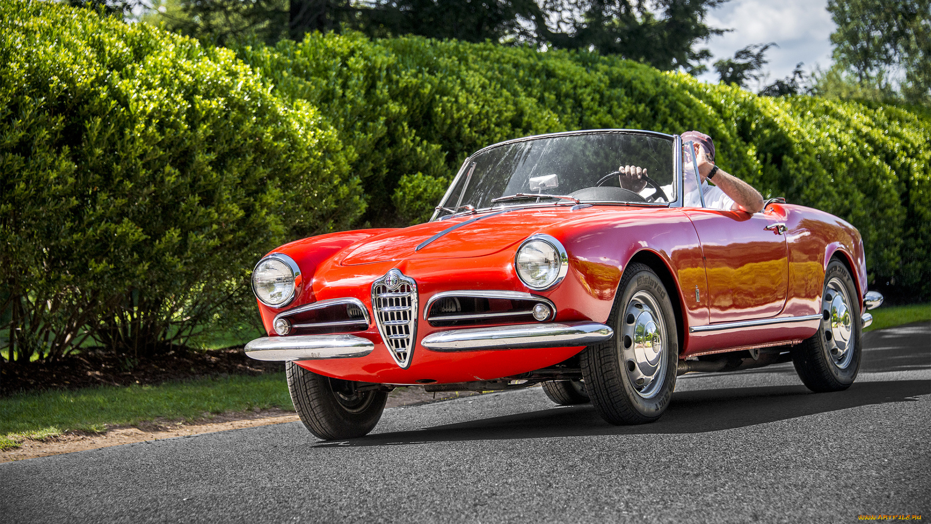 alfa, romeo, 1600, автомобили, alfa, romeo, автопробег, выставка, автошоу