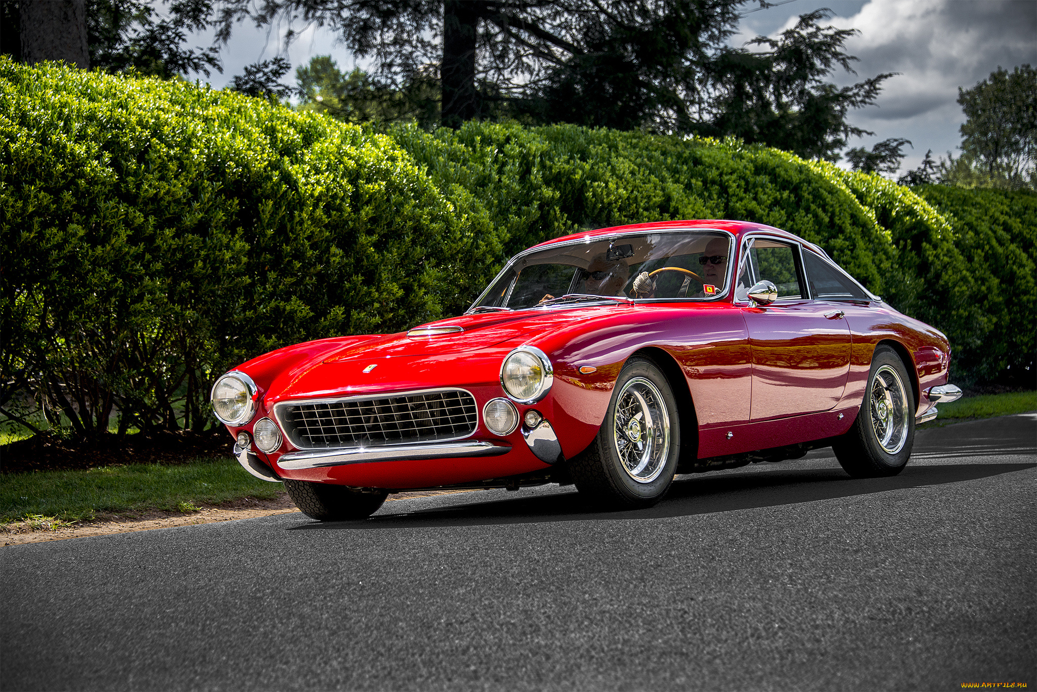 ferrari, 250, автомобили, ferrari, автопробег, выставка, автошоу