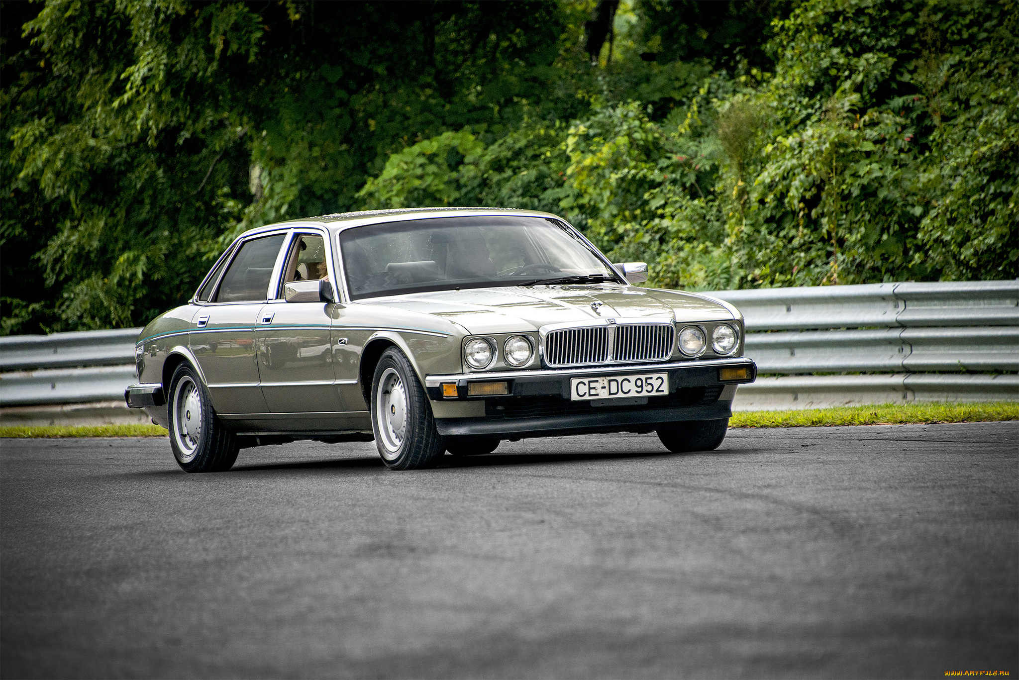 jaguar, xj8, sovereign, автомобили, jaguar, выставка, автопробег, автошоу