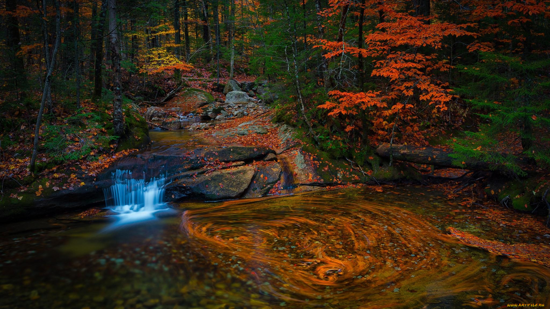 Осенний лес с водопадом без смс