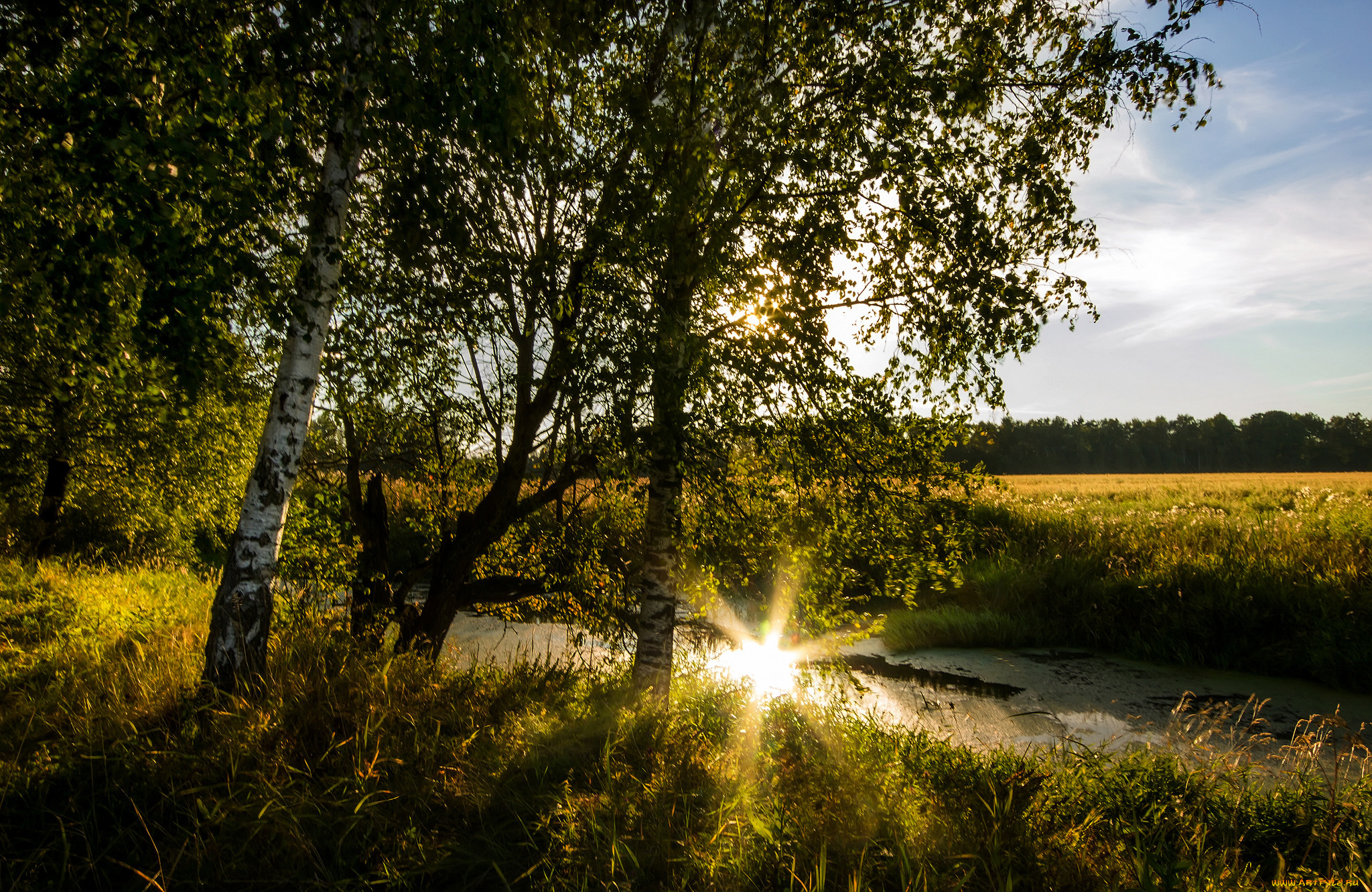 природа, реки, озера, простор