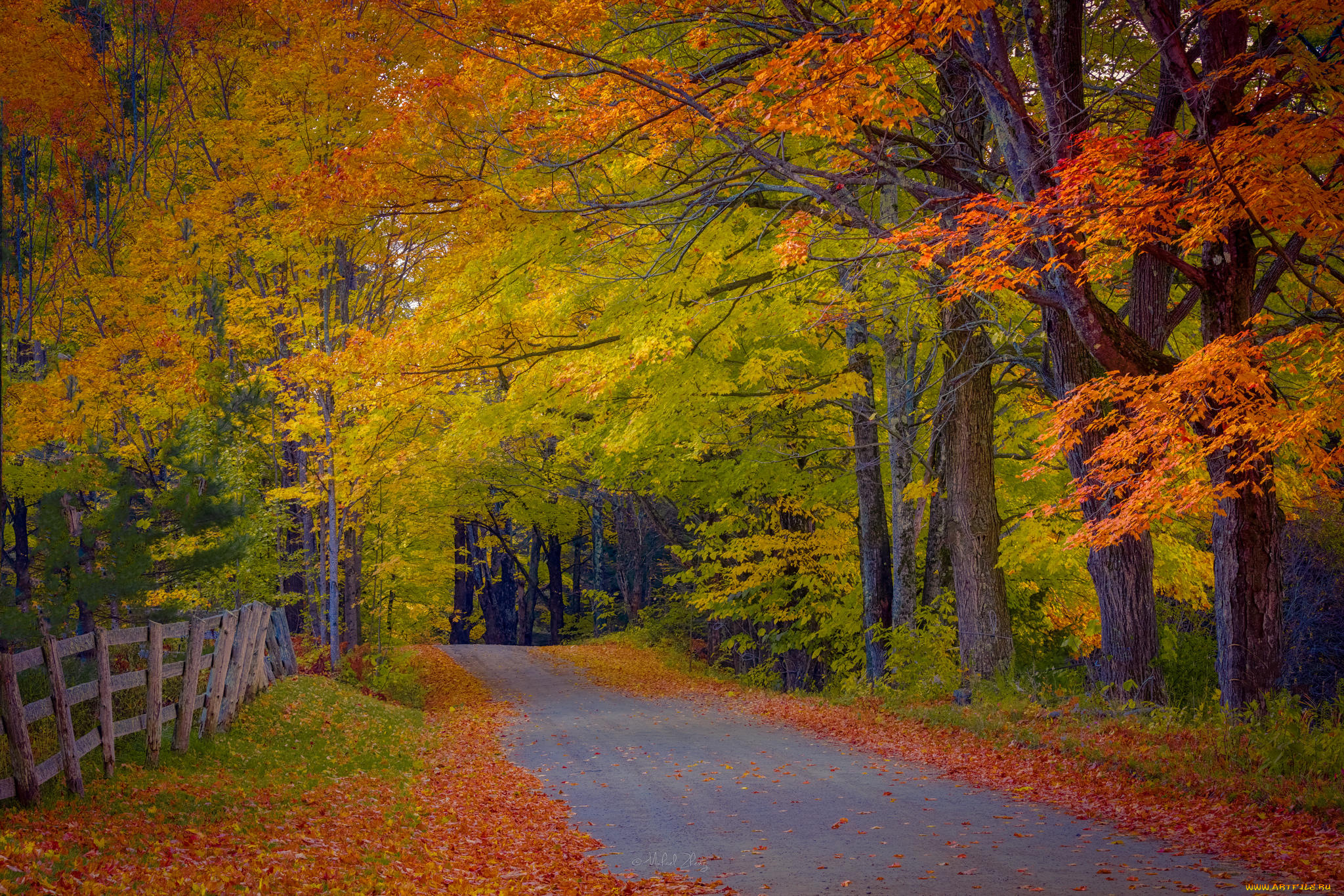 природа, дороги, осень, лес, забор, дорога, деревья