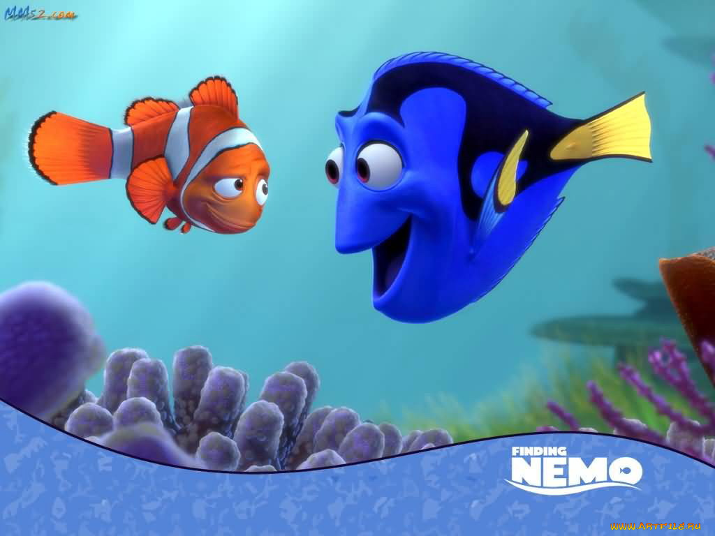 мультфильмы, finding, nemo