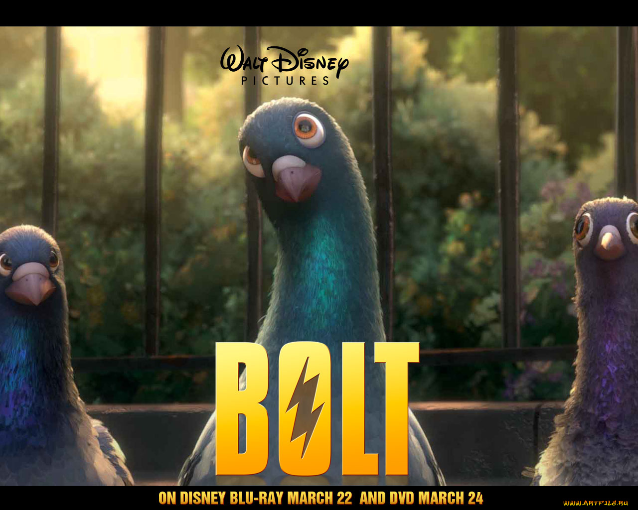 мультфильмы, bolt