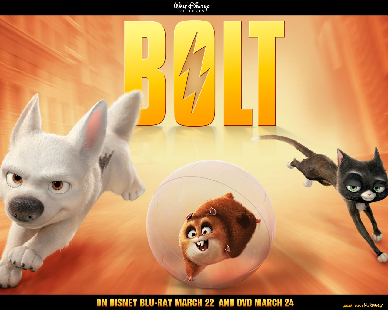 мультфильмы, bolt