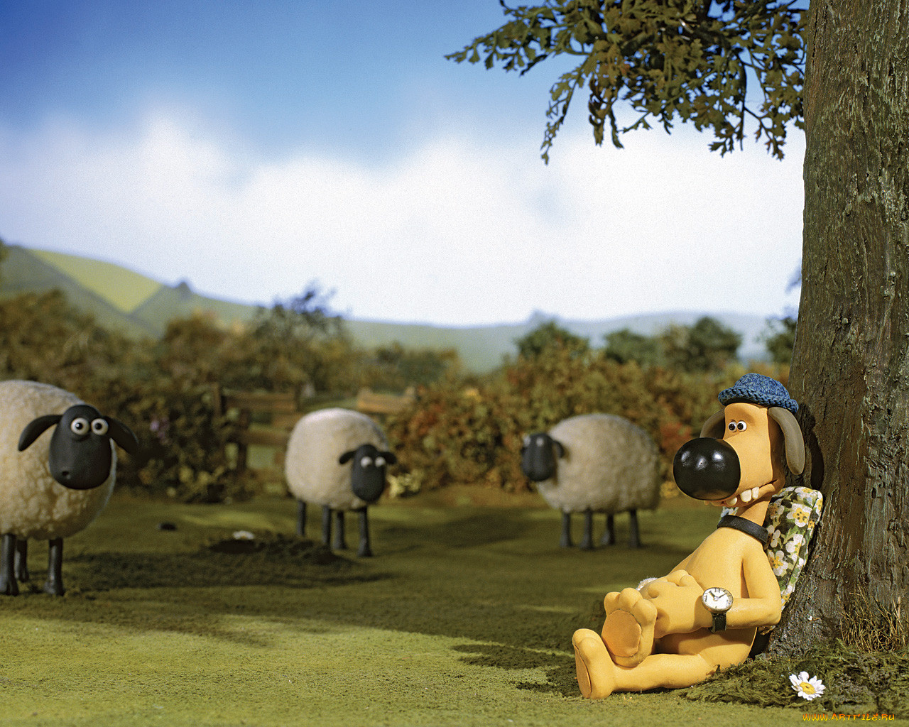 мультфильмы, shaun, the, sheep