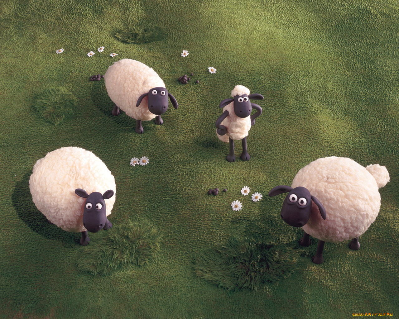 мультфильмы, shaun, the, sheep