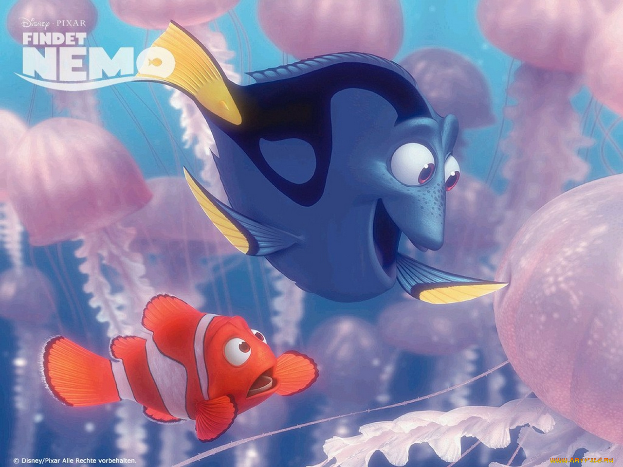 мультфильмы, finding, nemo