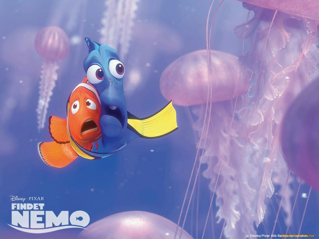 мультфильмы, finding, nemo