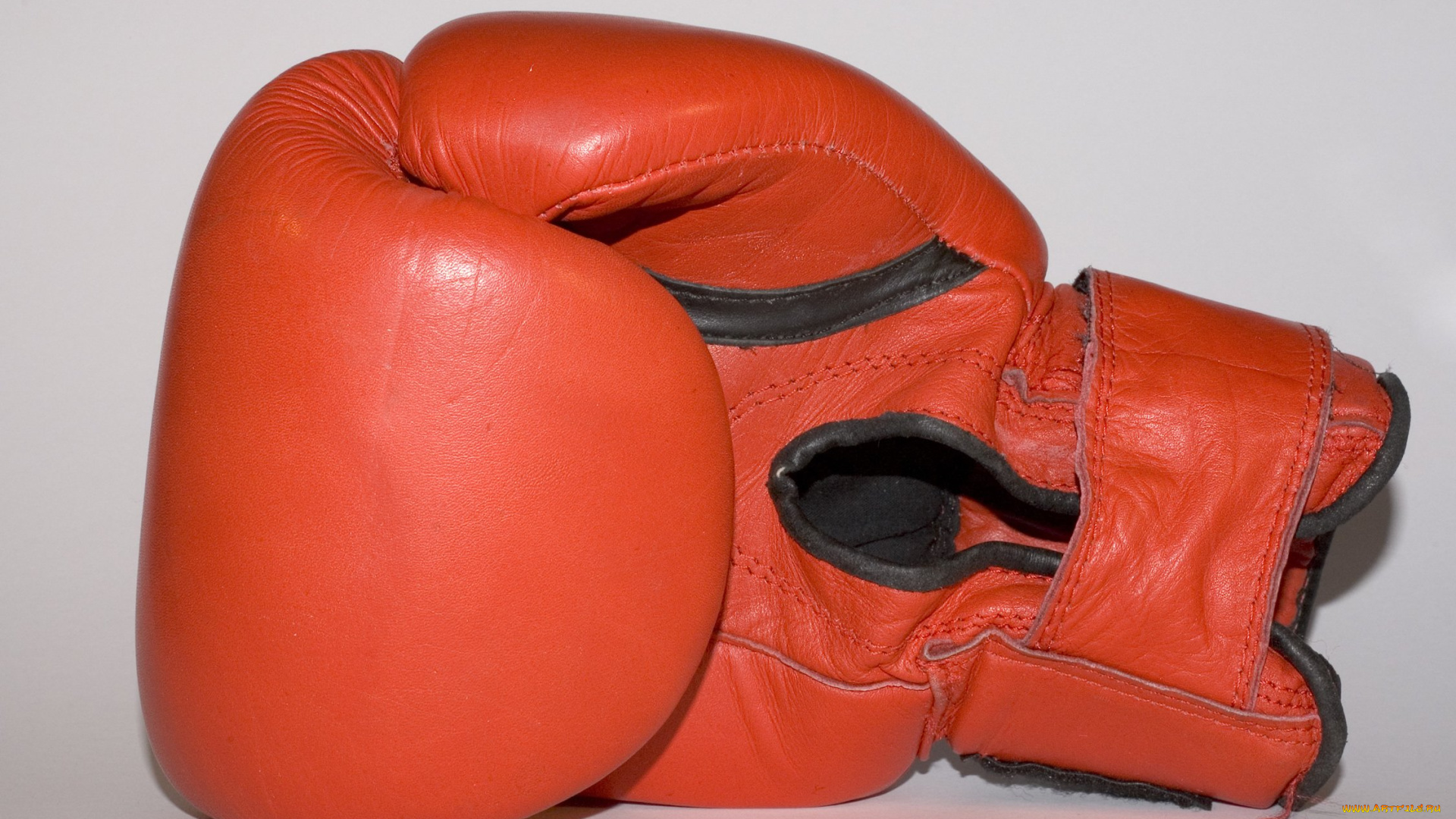 спорт, бокс, перчатка