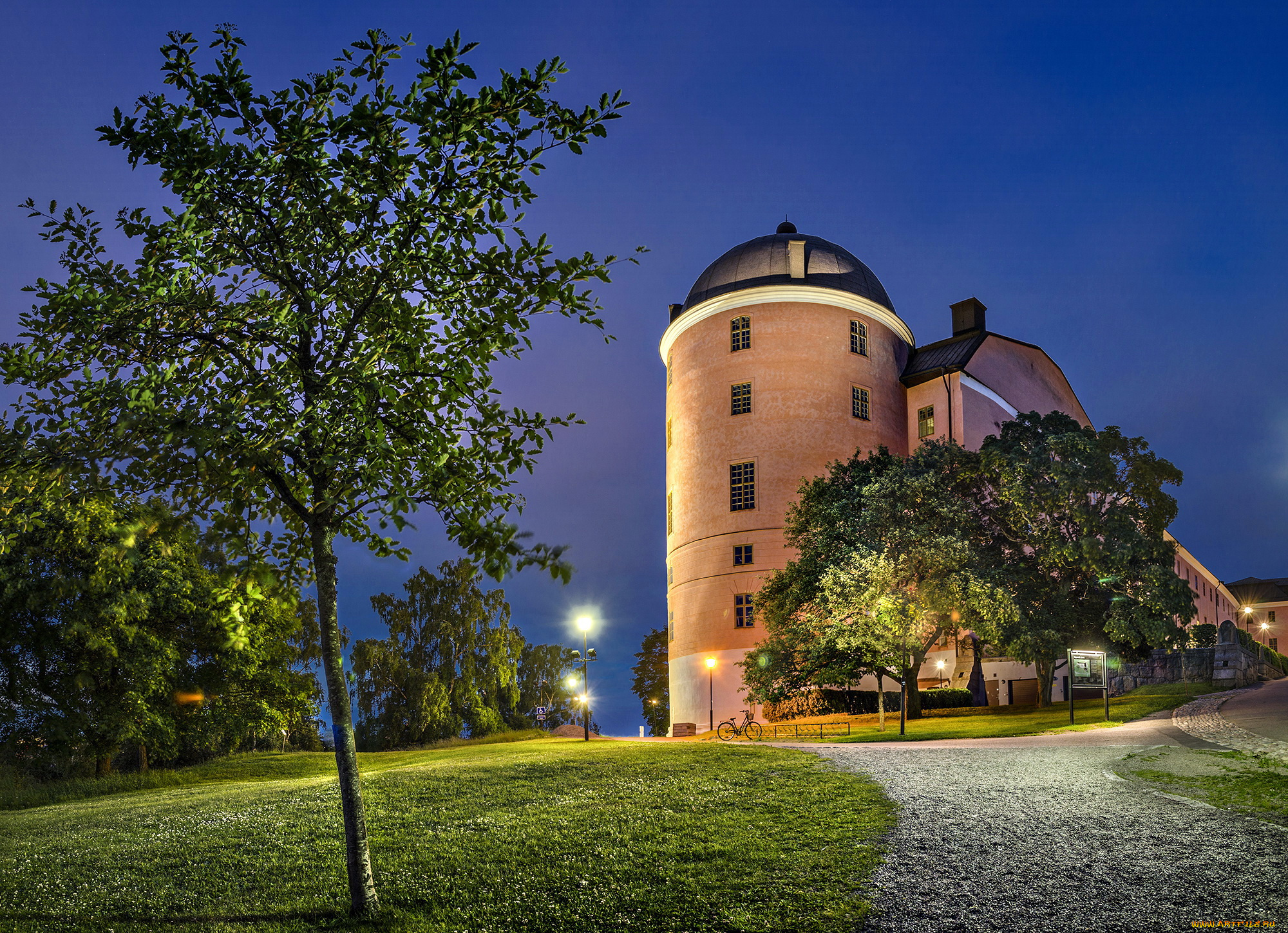 uppsala, castle, швеция, города, -, дворцы, , замки, , крепости, дизайн, castle, замок, uppsala, трава, ночь