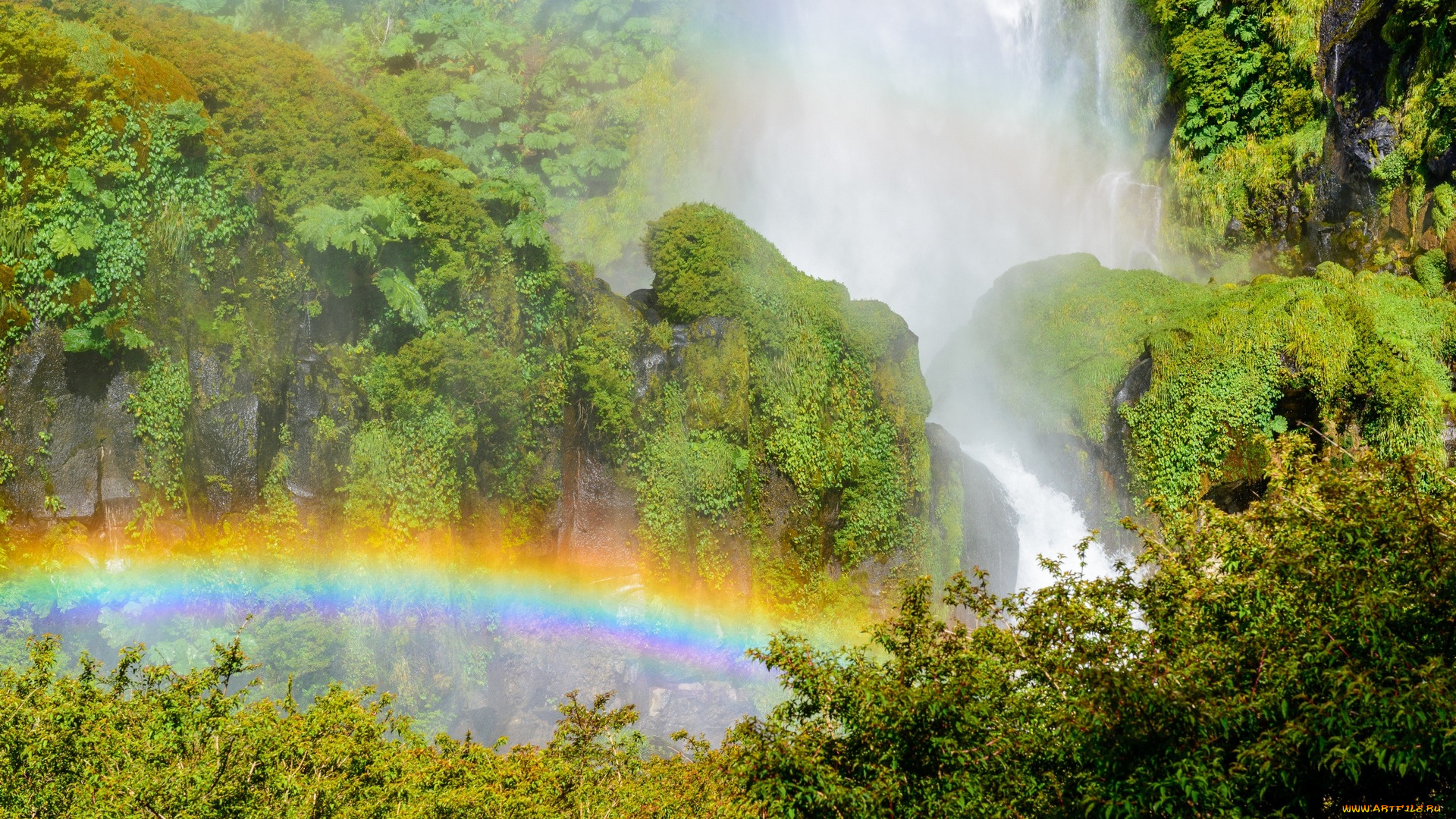 природа, радуга, водопад, деревья, вода