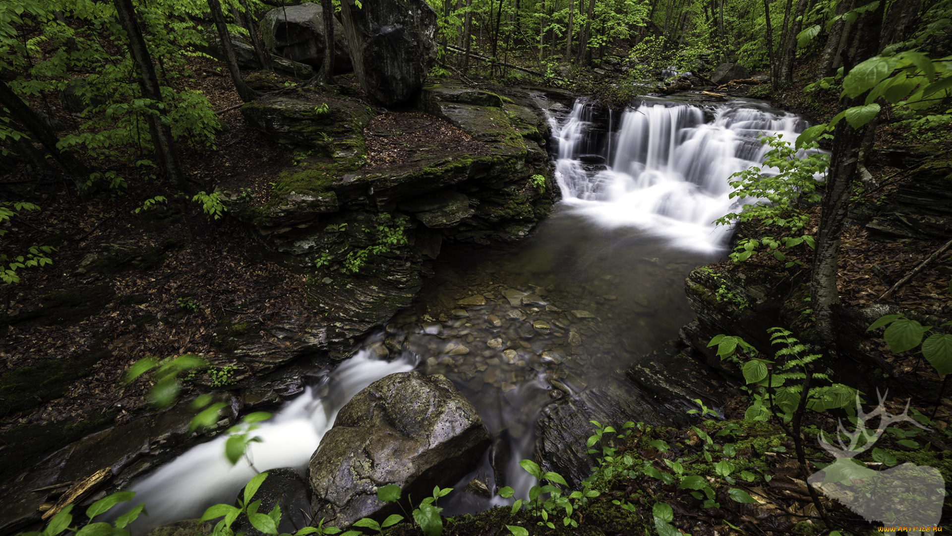 природа, водопады, river, stream, waterfall, water, поток, река, вода, камни, водопад, rocks