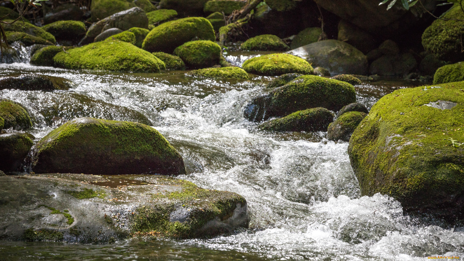 природа, водопады, вода, поток, водопад, autumn, leaves, water, waterfall, осень, stream, листья