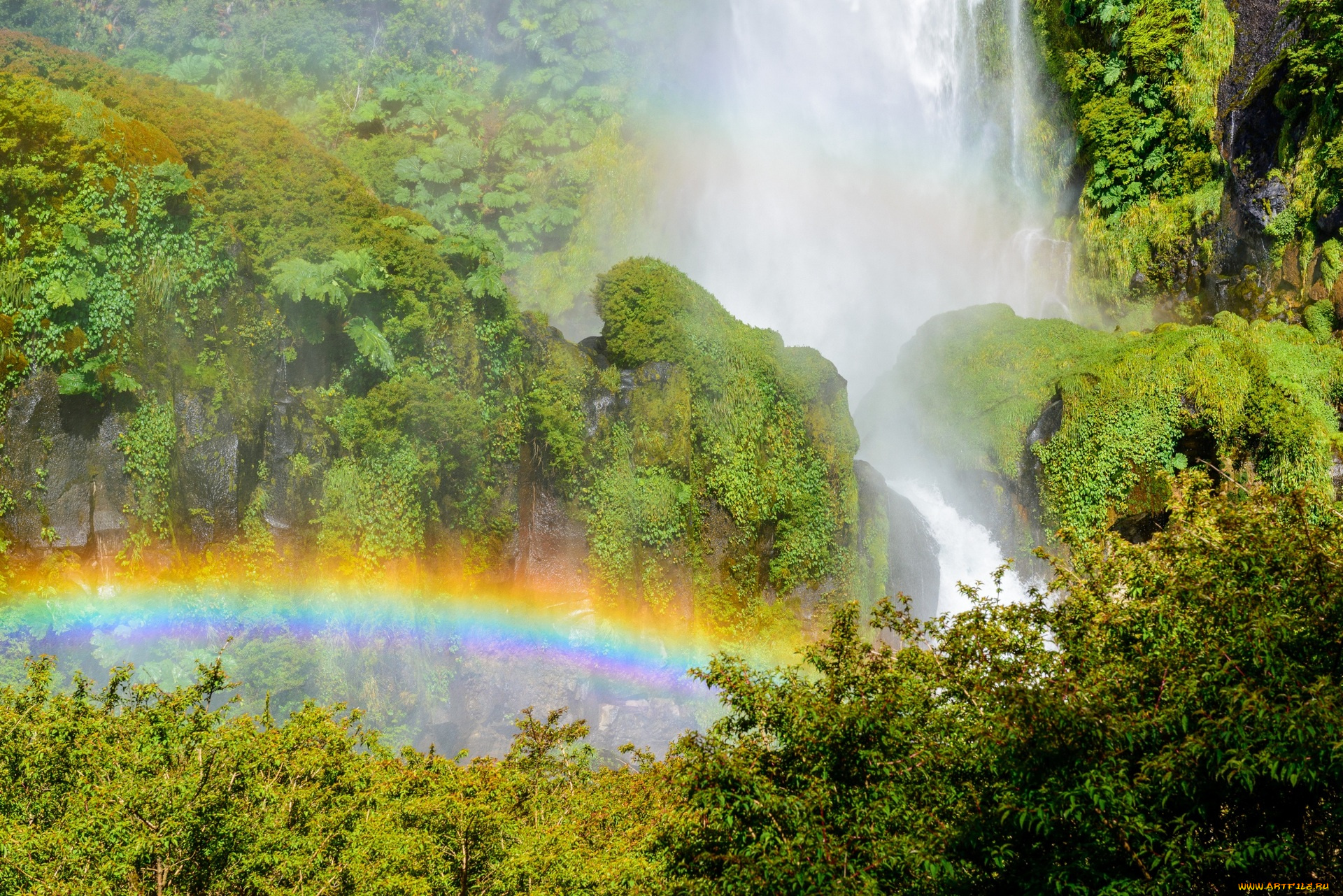 природа, радуга, водопад, деревья, вода