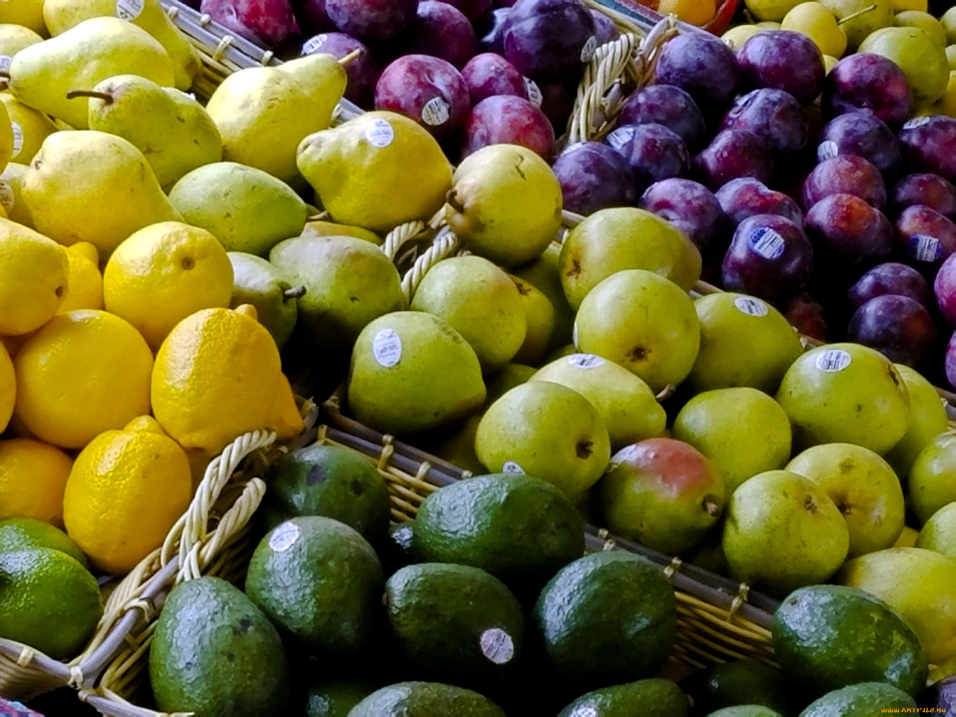 еда, фрукты, , ягоды, груши, сливы, авокадо, лимоны