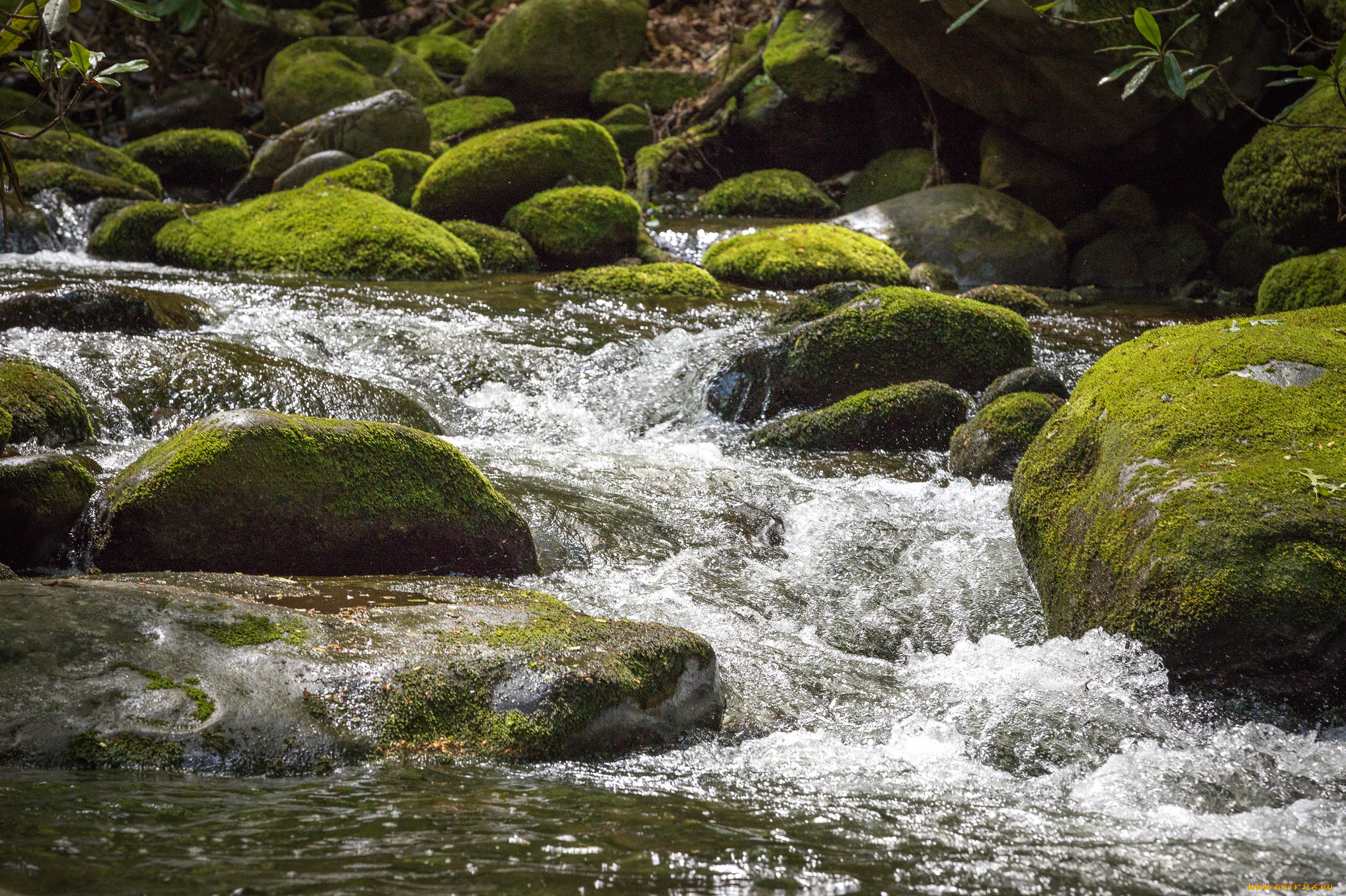 природа, водопады, вода, поток, водопад, autumn, leaves, water, waterfall, осень, stream, листья