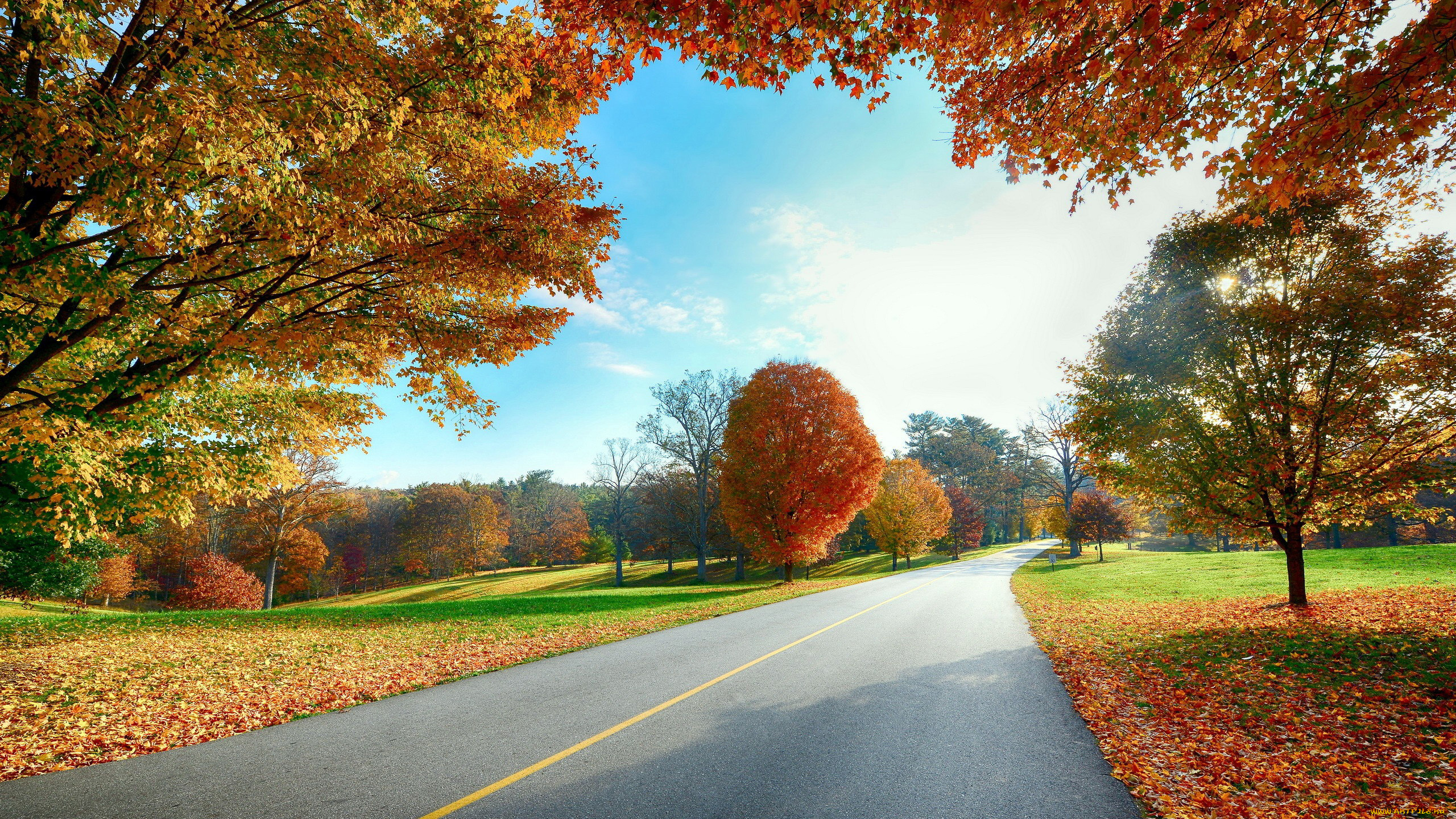 природа, дороги, листопад, деревья, осень, шоссе
