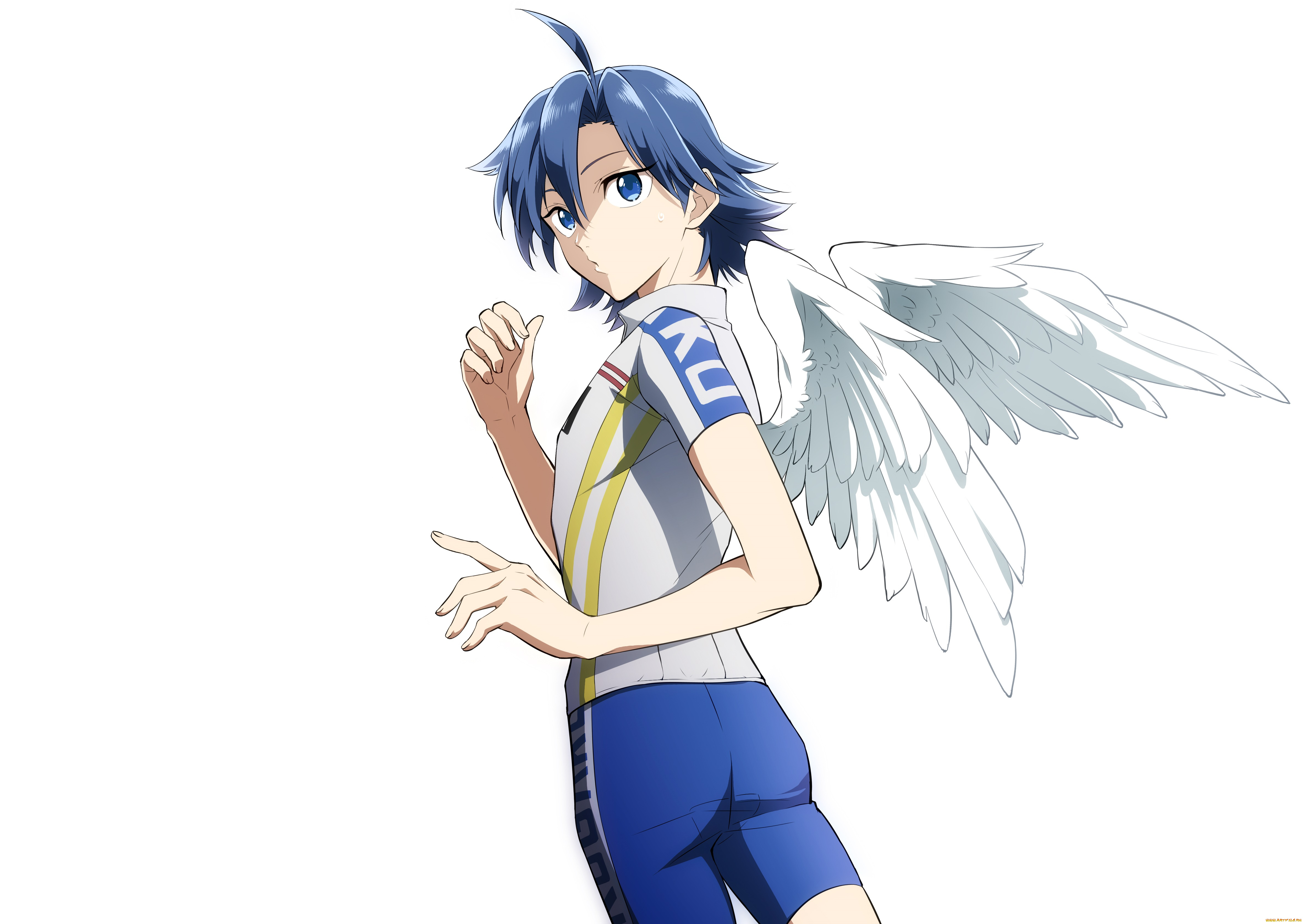 аниме, yowamushi, pedal, ангел