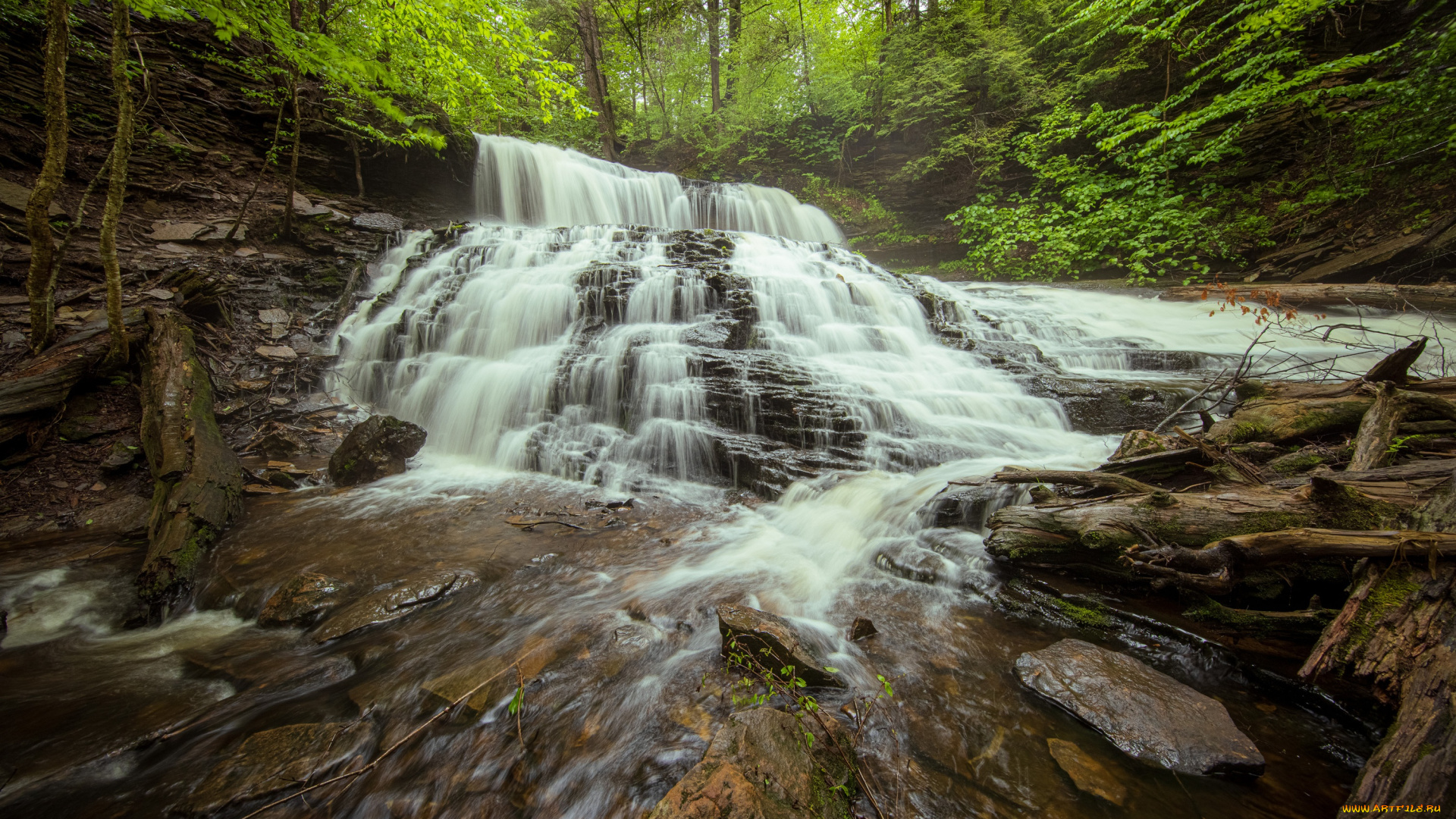 природа, водопады, лес, водопад, пенсильвания, каскад, коряги, pennsylvania, ricketts, glen, state, park, парк, штата, рикетс, глен, mohawk, falls