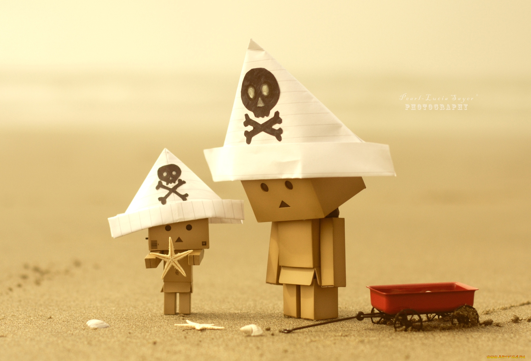 разное, данбо, danboard, треуголки, пираты, пляж, черепа