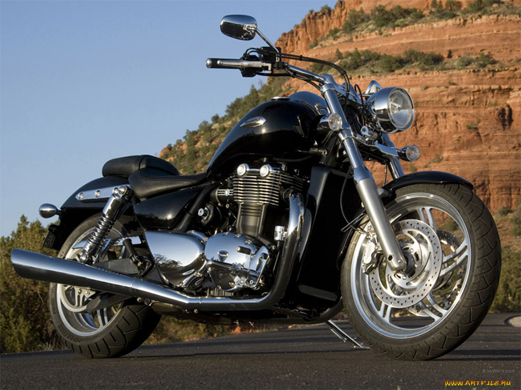 triumph, thunderbird, 2009, мотоциклы