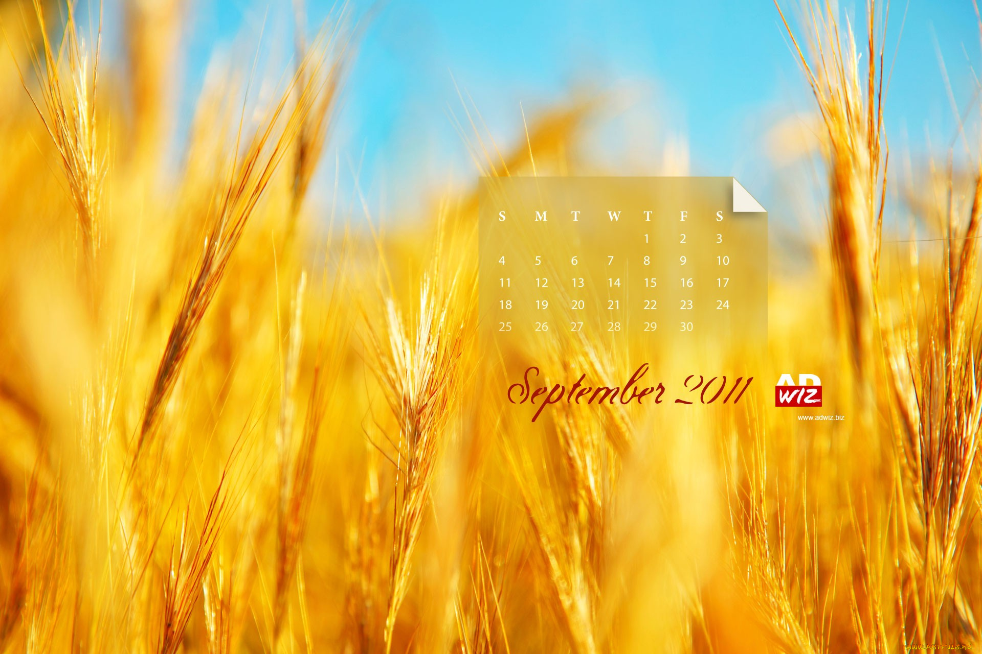 календари, природа, желтый, поле, пшеница