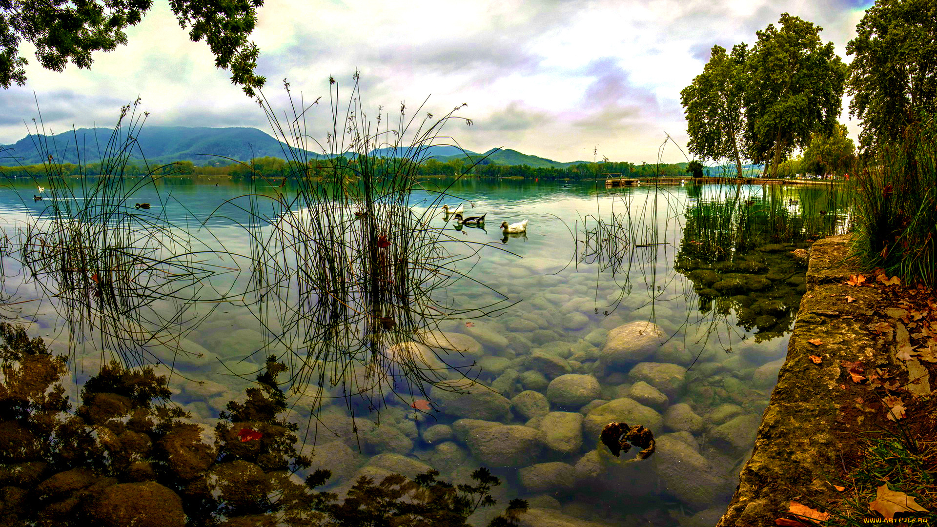 beautiful, lake, природа, реки, озера, утки, красота, вода, прозрачная, каменистое, дно, трава, деревья, горы, озеро