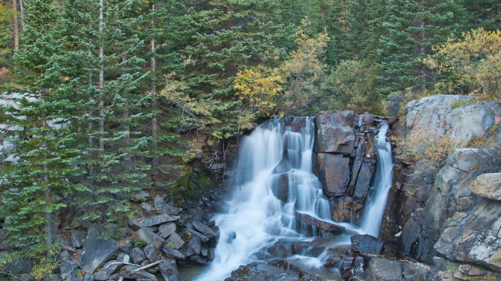 boulder, falls, природа, водопады, скалы, деревья, лес