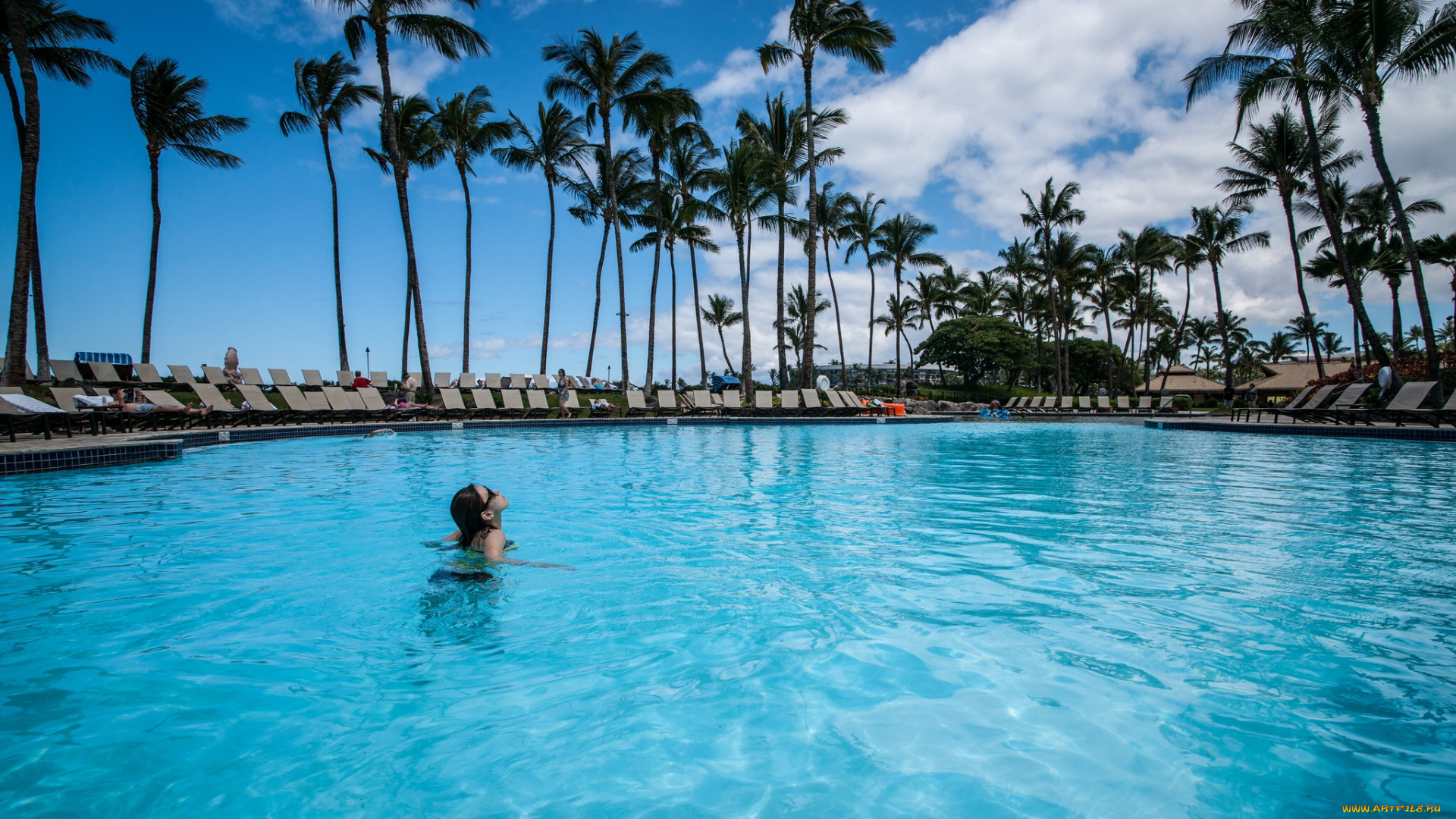 интерьер, бассейны, открытые, площадки, hawaii, гавайи, бассейн, пальмы