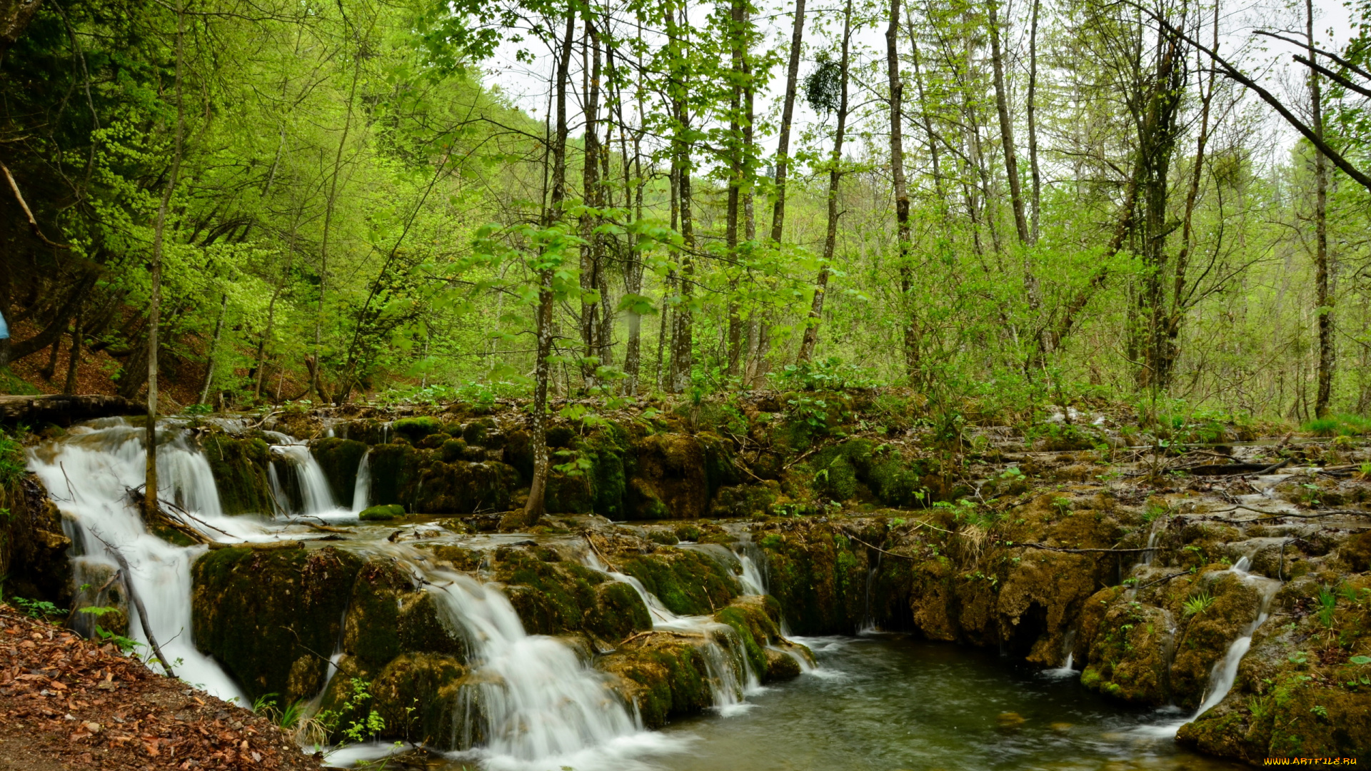 плитвицкие, озера, хорватия, природа, водопады, лес, водопад