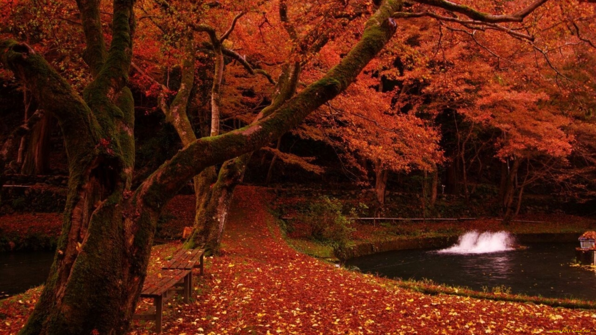 природа, парк, листва, осень, скамейки, пруд, фонарик