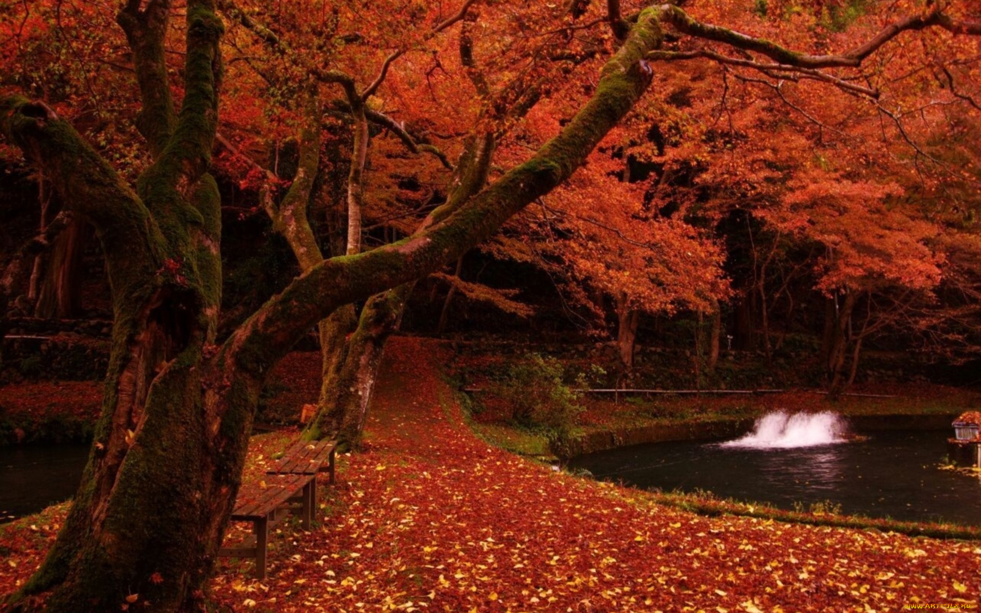 природа, парк, листва, осень, скамейки, пруд, фонарик