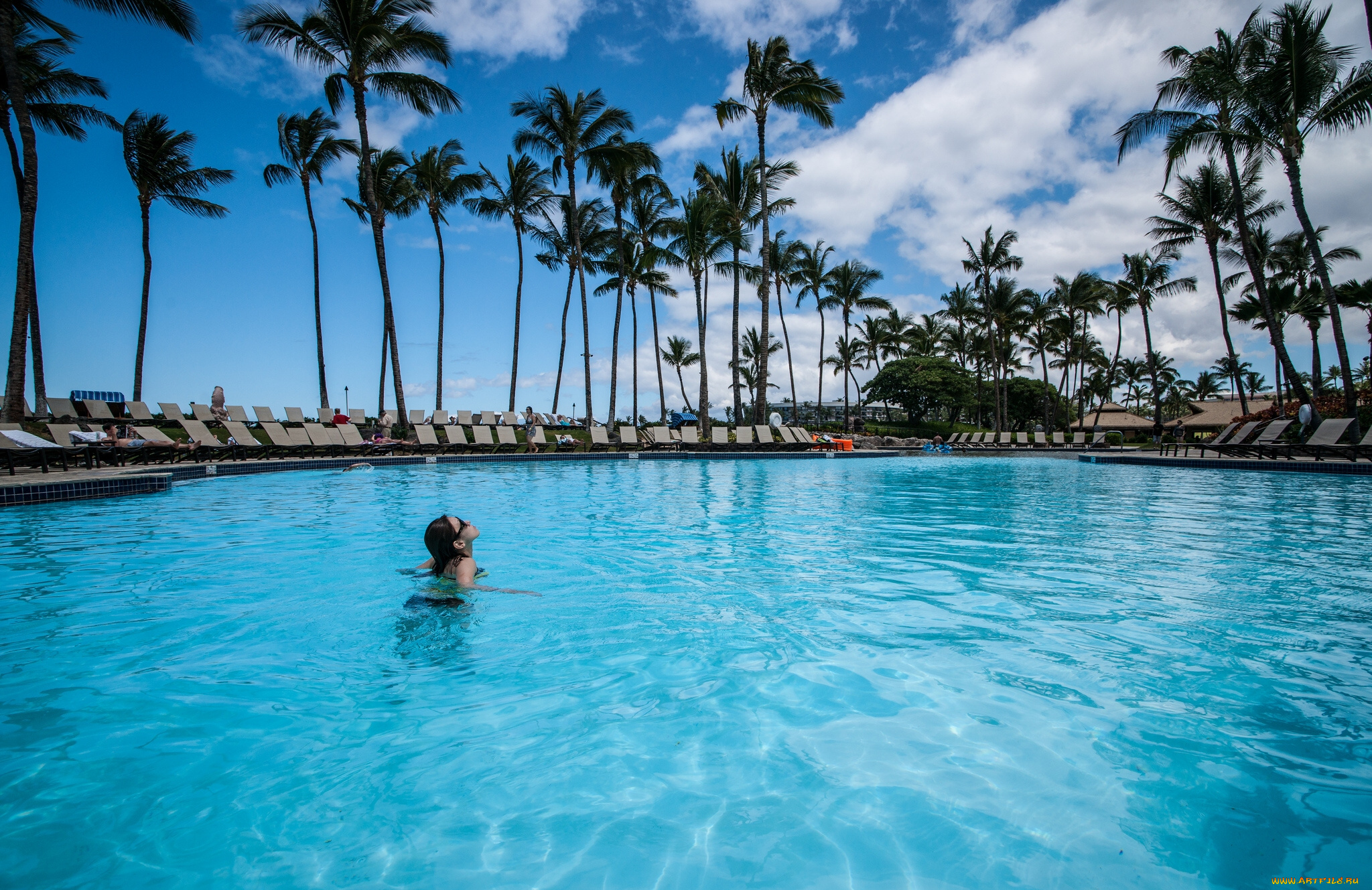 интерьер, бассейны, открытые, площадки, hawaii, гавайи, бассейн, пальмы