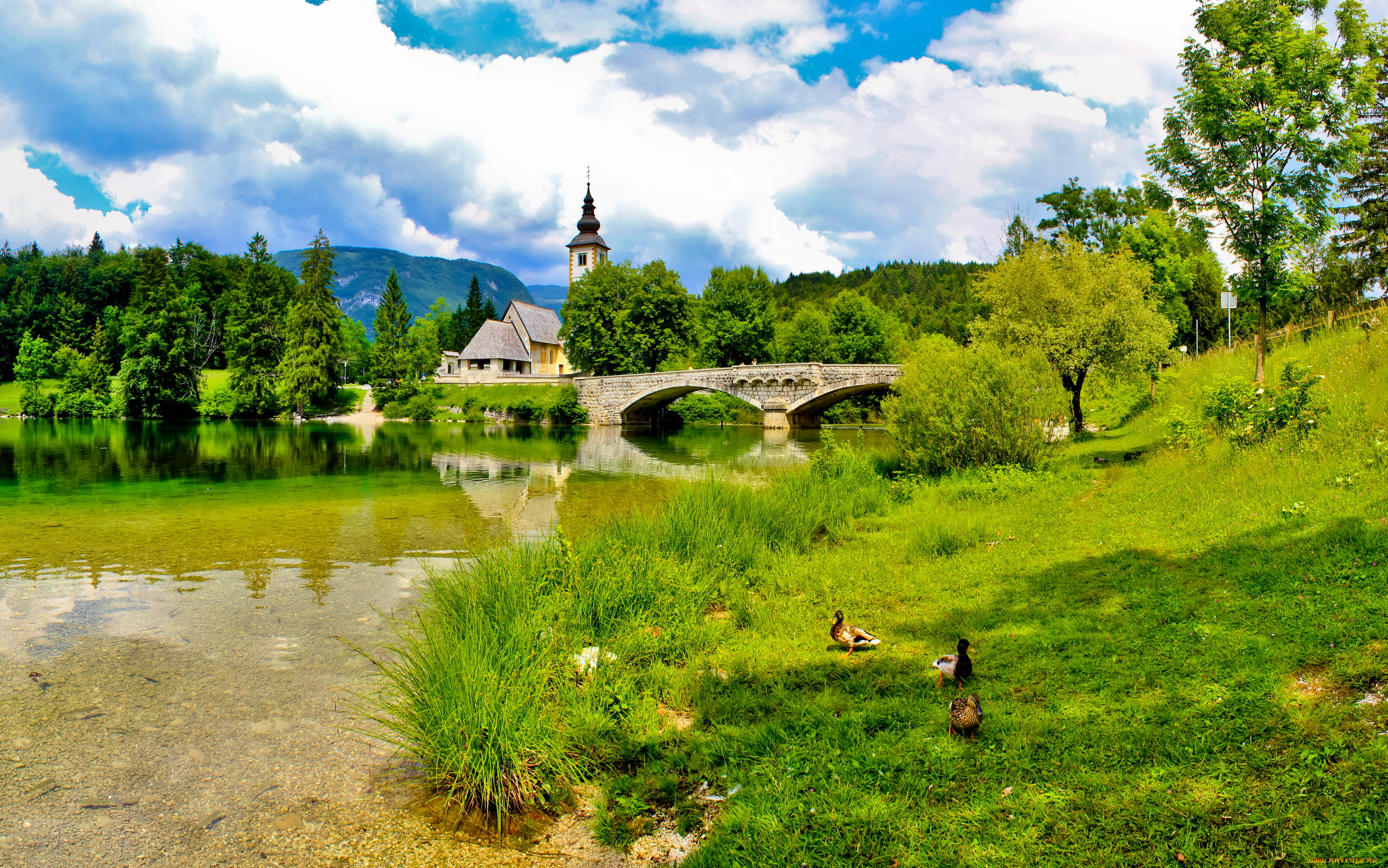 словения, bohinj, природа, пейзажи, река, мост