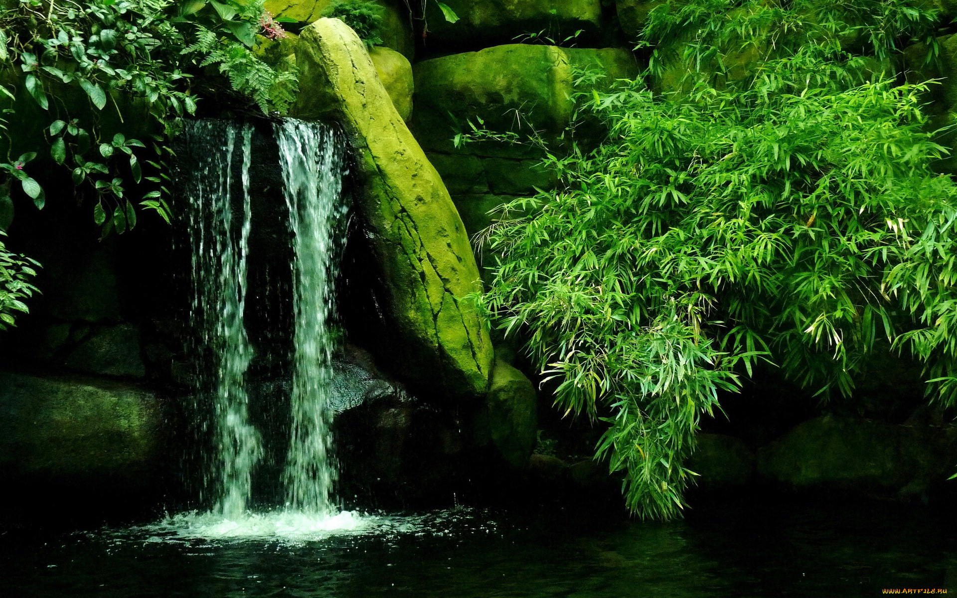 природа, водопады, лес, ручей