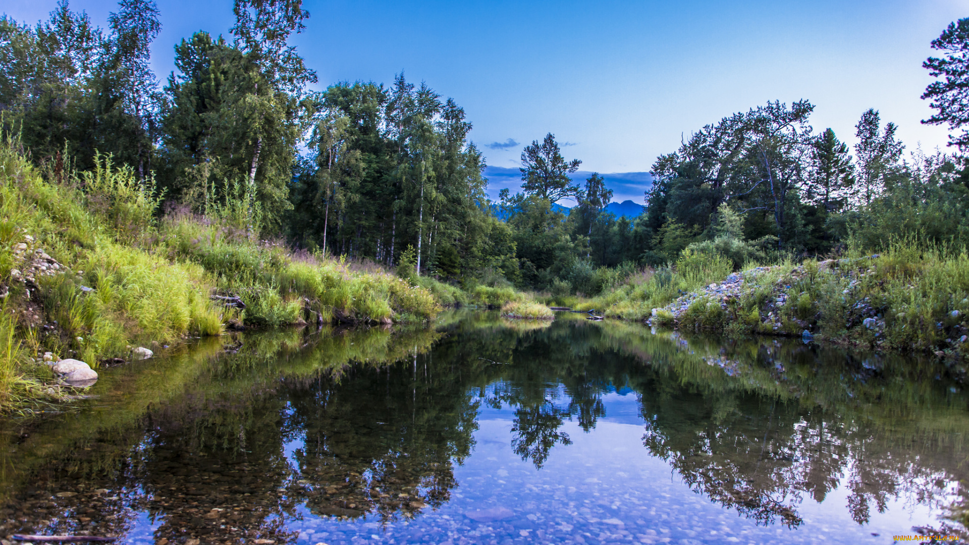 природа, реки, озера, река, лес