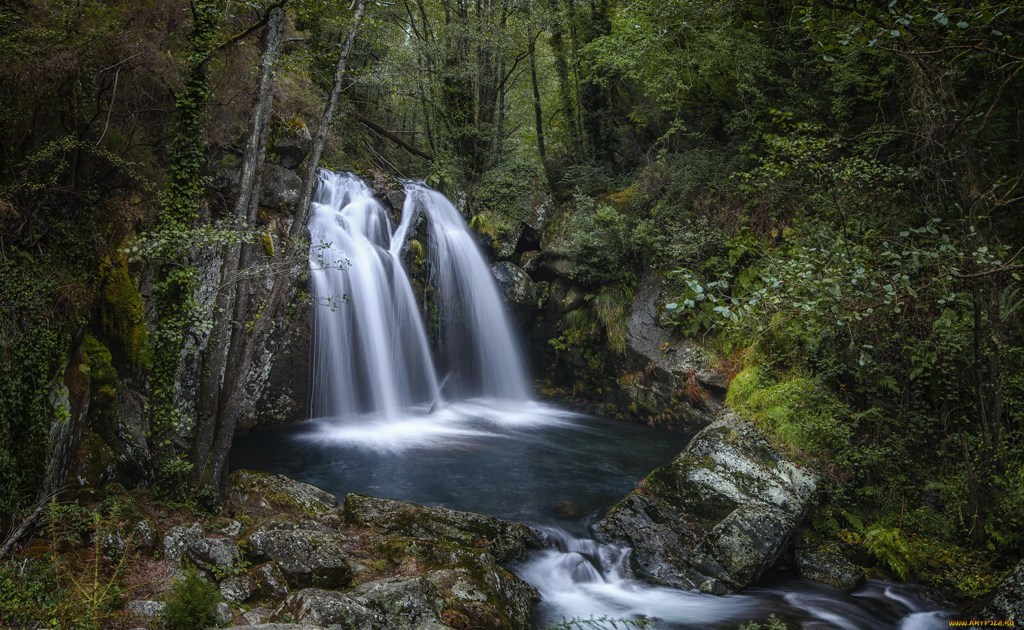 природа, водопады, водопад, река, лес