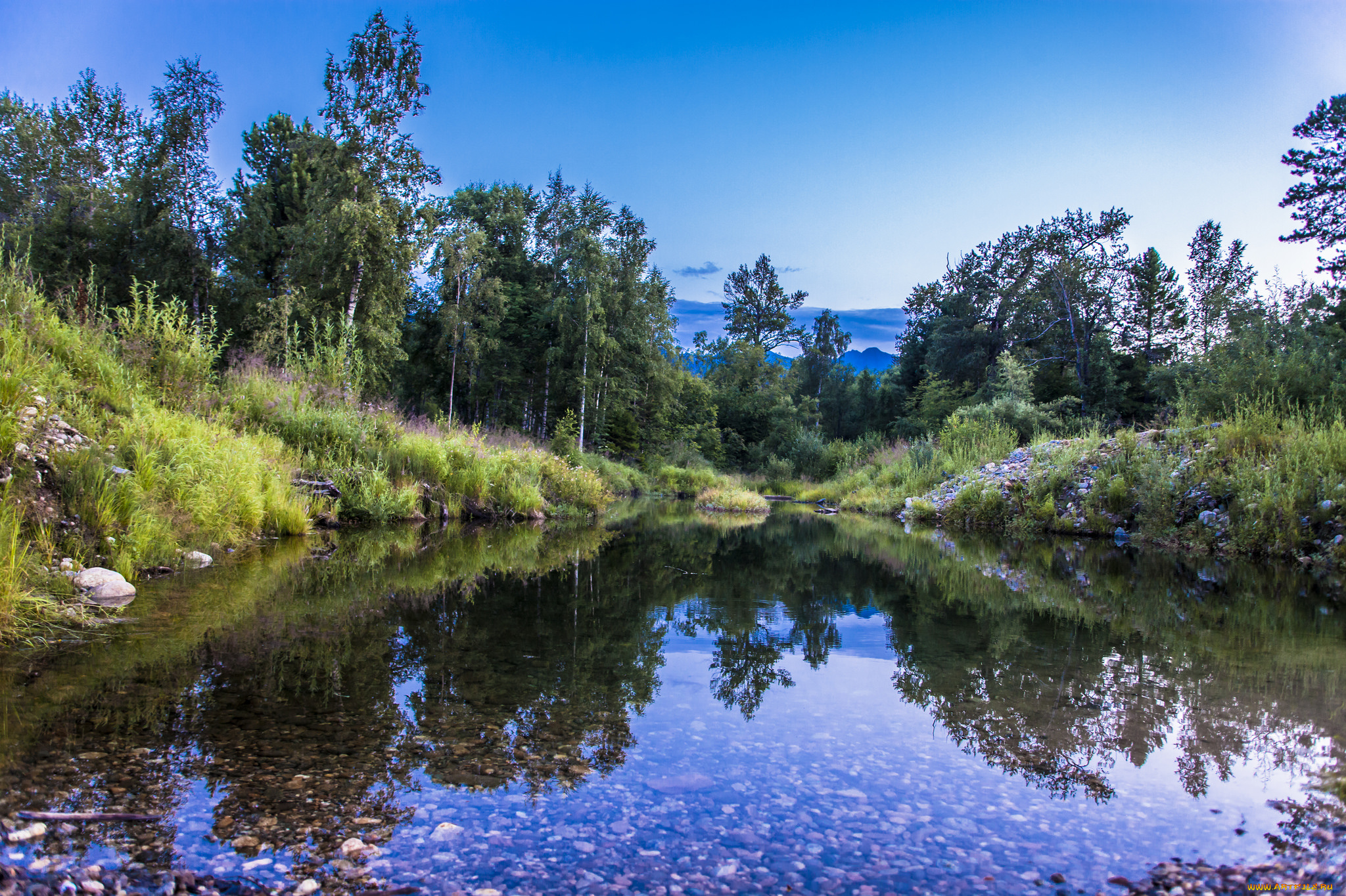 природа, реки, озера, река, лес