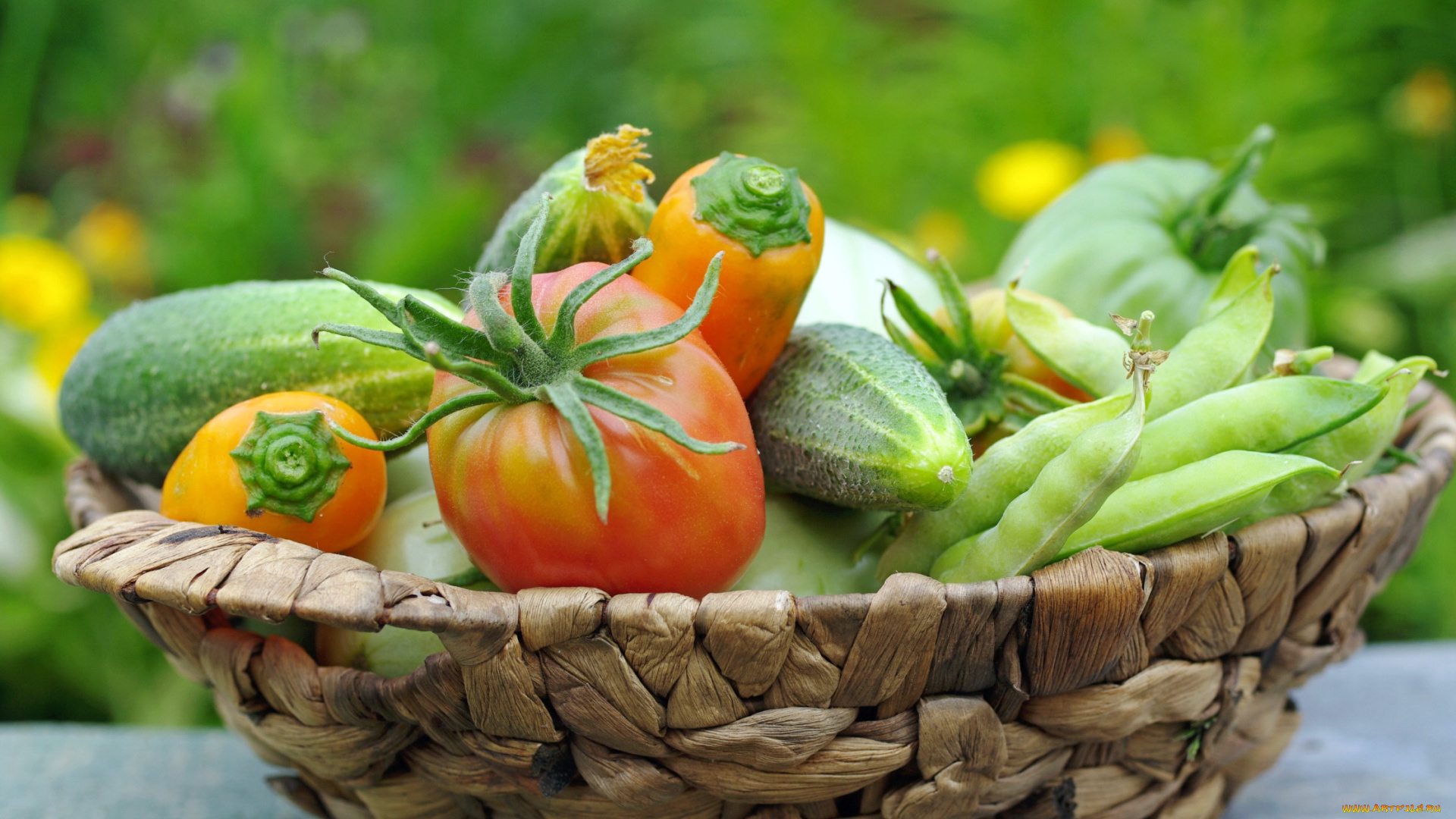 еда, овощи, июль, лето, позитив, урожай, дача, огурцы, помидоры, горох, перцы, природа, томаты