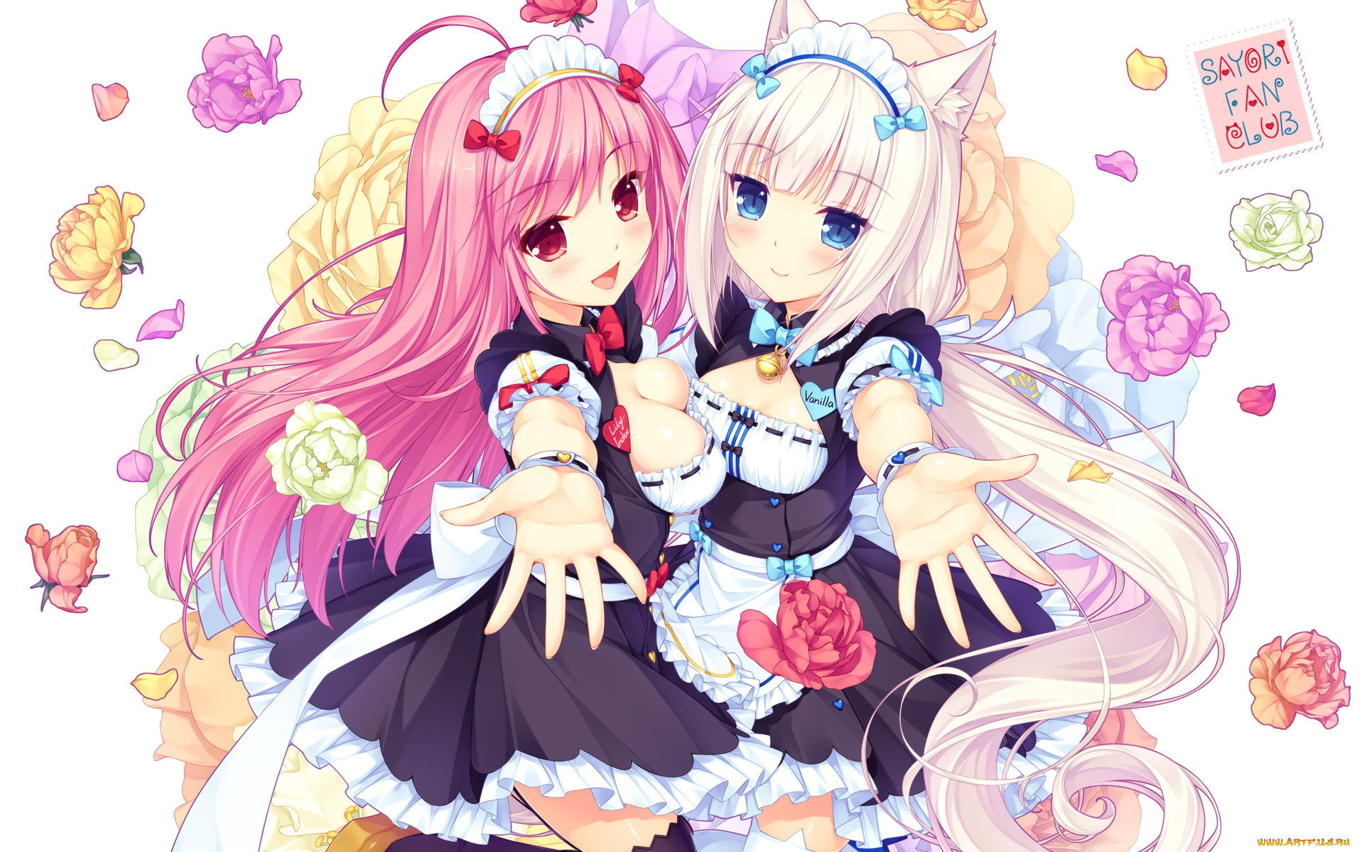 аниме, nekopara