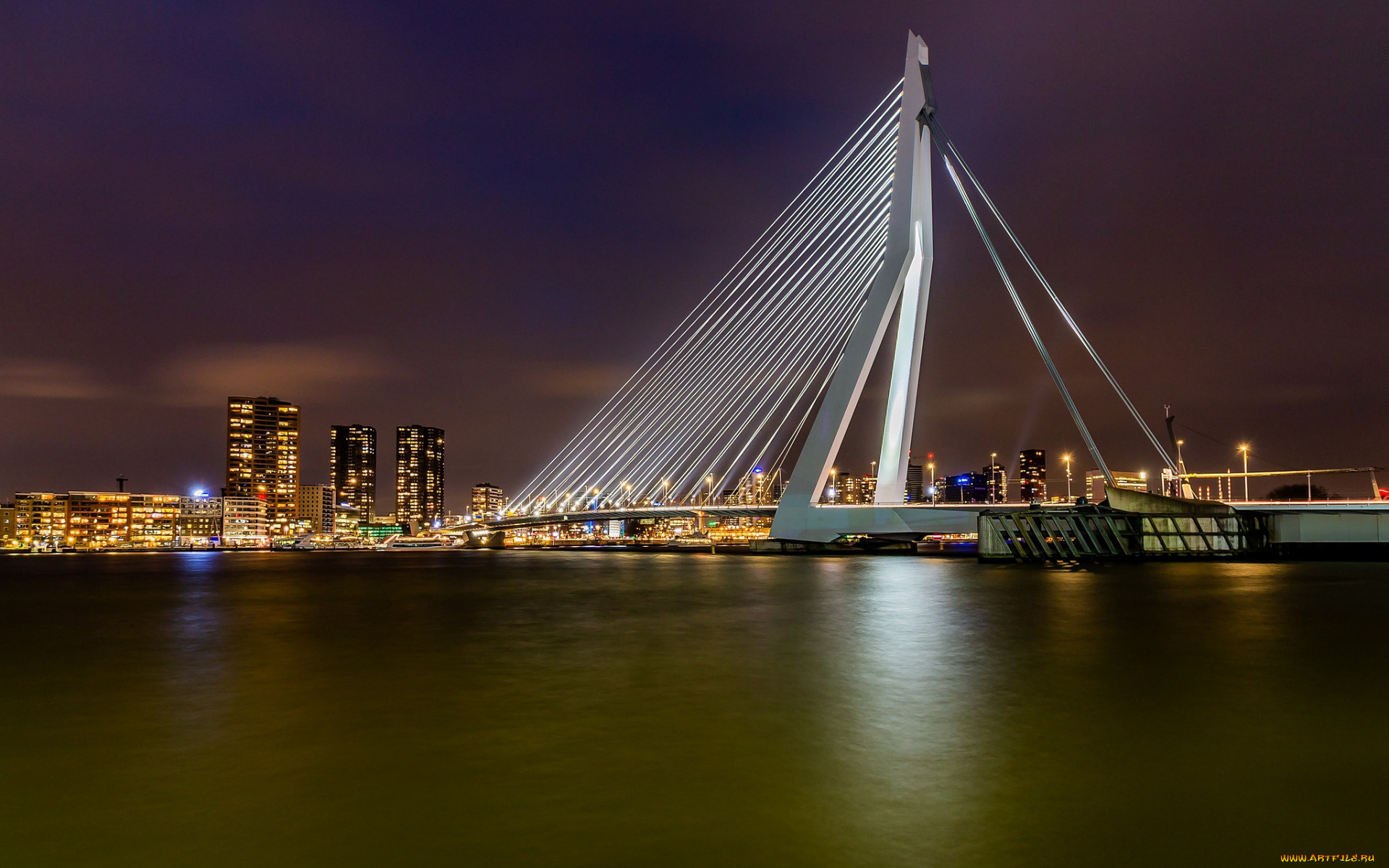 rotterdam, netherlands, города, -, мосты