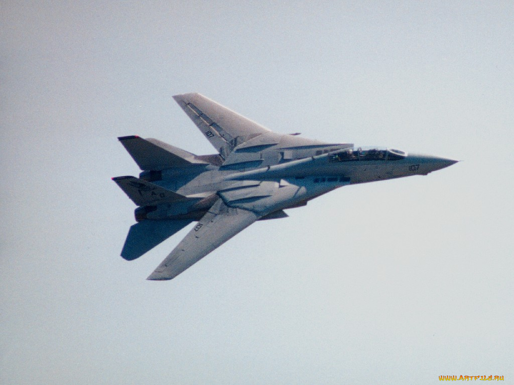 f14, авиация, боевые, самолёты