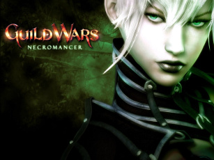 Картинка guild wars necromancer видео игры
