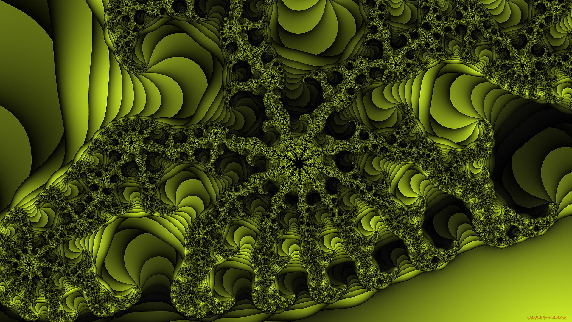 3д, графика, fractal, фракталы, узор, зелёный, тёмный, фрактал