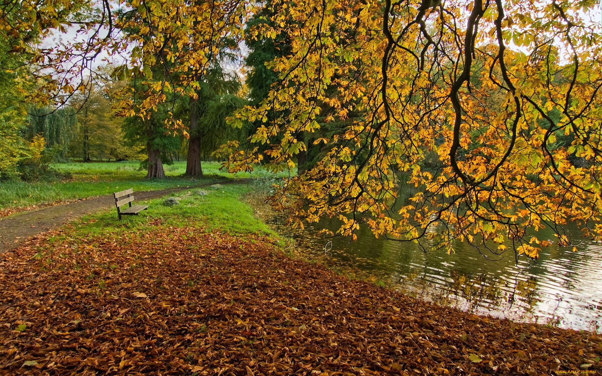 природа, парк, дорожка, скамейка, деревья, листья, пруд, осень