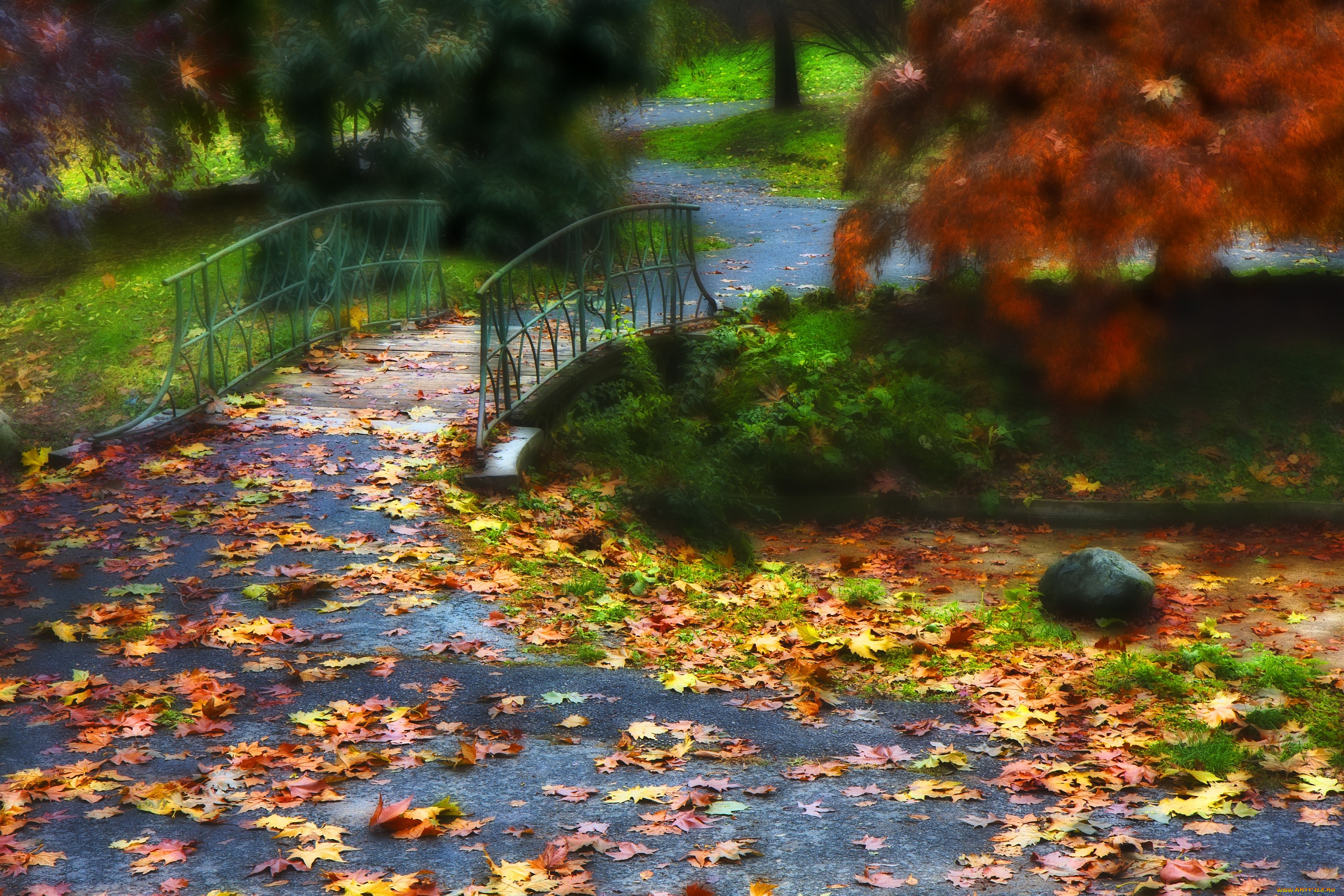 природа, парк, мост, листья, осень, деревья, асфальт