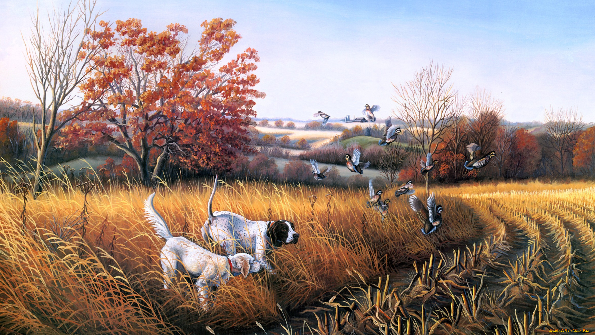 bird, dog, country, рисованные, john, eberhardt, утки, осень, охота, собаки